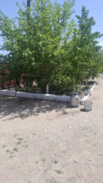 Продам дом район Актас