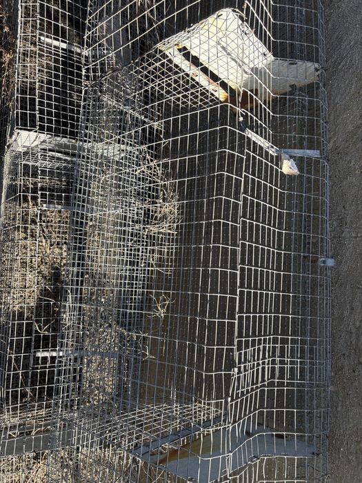 Клетки для куриц/кроликов