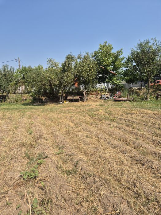 Vând teren intravilan în satul tustea jud HUNEDOARA