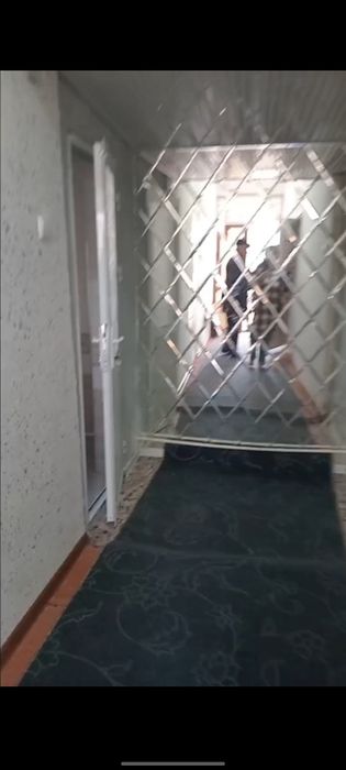 Xavki sotiladi srochni trikatajka