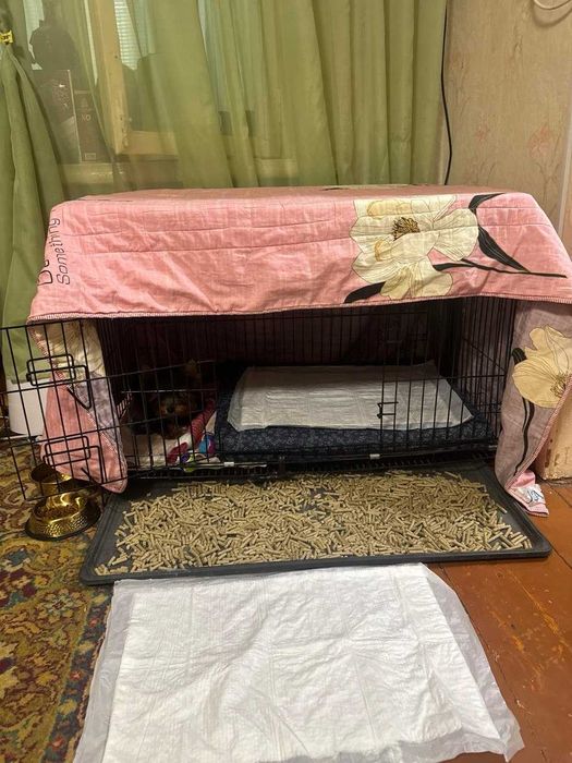 Продается вольер для собак, кошек.