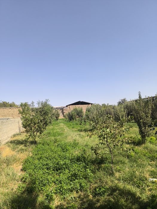 Участка 13 сотик