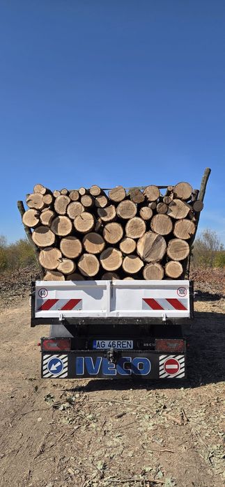 Lemne foc esențe tari fag carpen stejar
