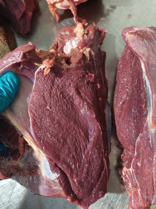 Месо за кучета, Конско месо,Патешки глави,телешко зелено шкембе и пиле