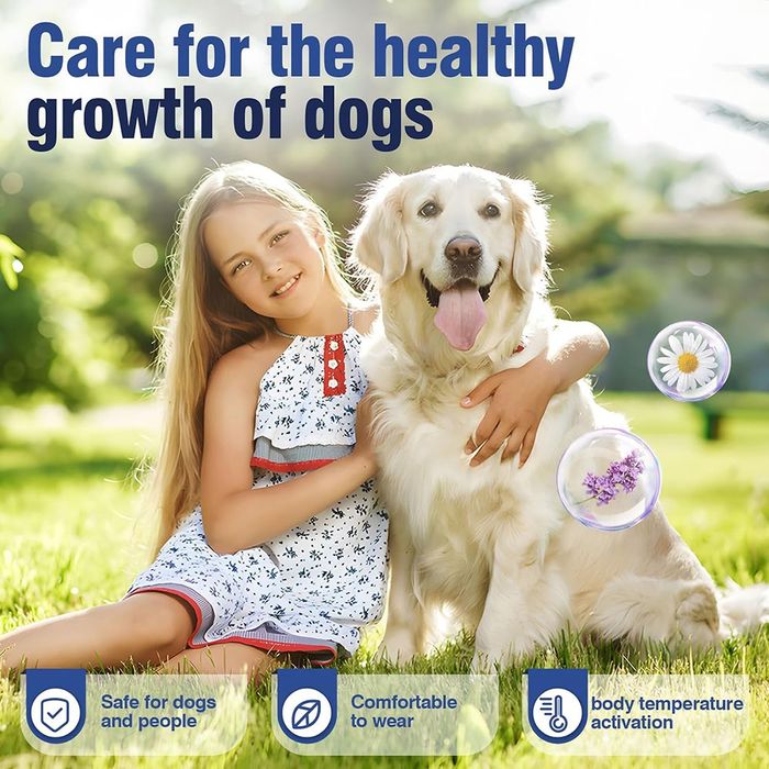 Успокояващ нашийник за кучета – Calming Collar