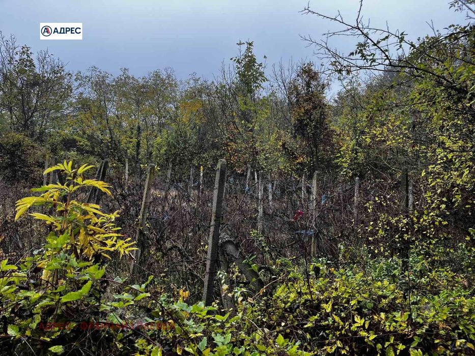 Продава се Парцел в Плевен, Кайлъка - 750 кв.м за 8 €/кв.м - Снимка #7