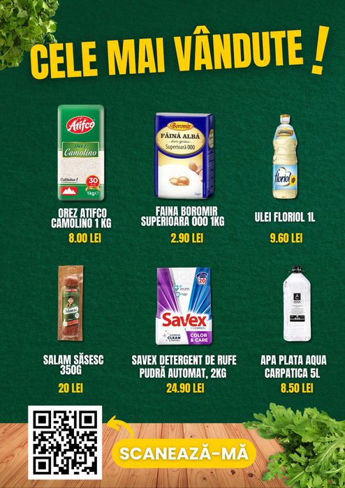 Python Software Development, Magazin online Constanta, Landing Page