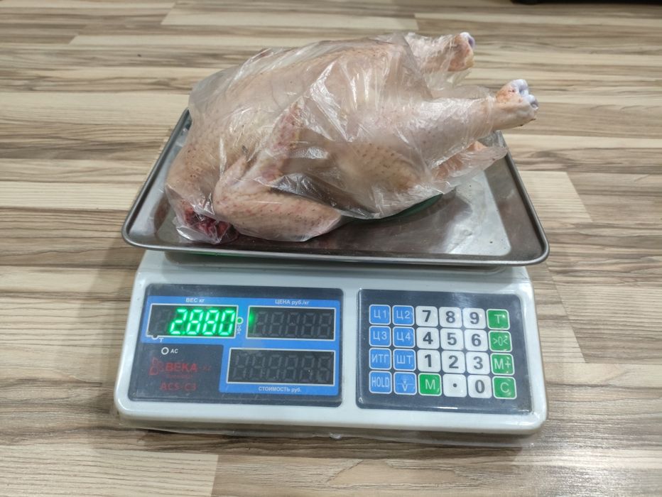 Продам мясо бройлеров