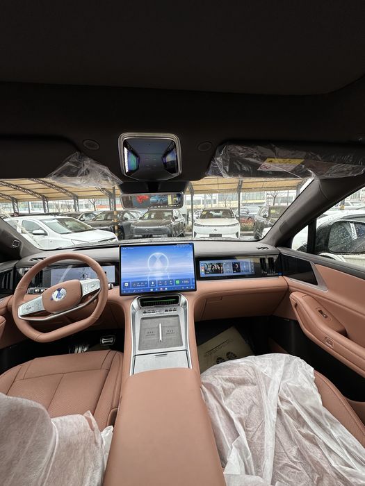 Denza N8L +bron plyonka