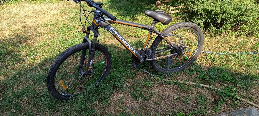 Phoenix 25 000 Olx