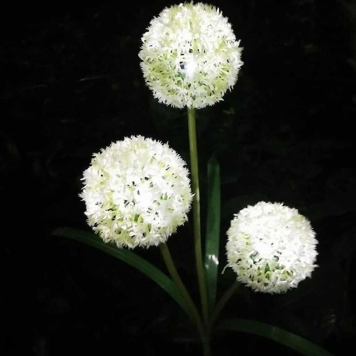 Соларни LED градински светлини – цветя