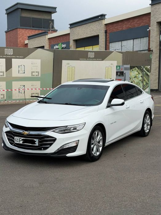 Malibu 2.4 Mator Kraskasi Tozza