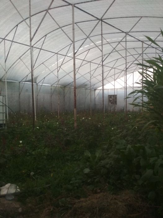 сварочик для всех работы и сантехнических работ