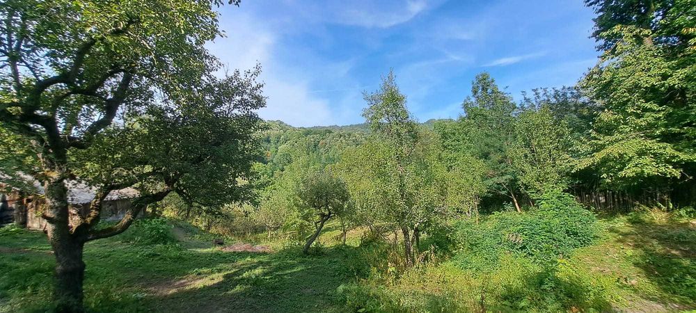 Teren si constructii situate in intravilan 7.780 mp, comuna Bertea, sat Lutu Rosu, Prahova
