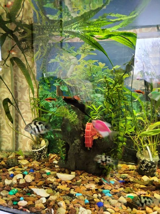 Срочно Продам аквариум