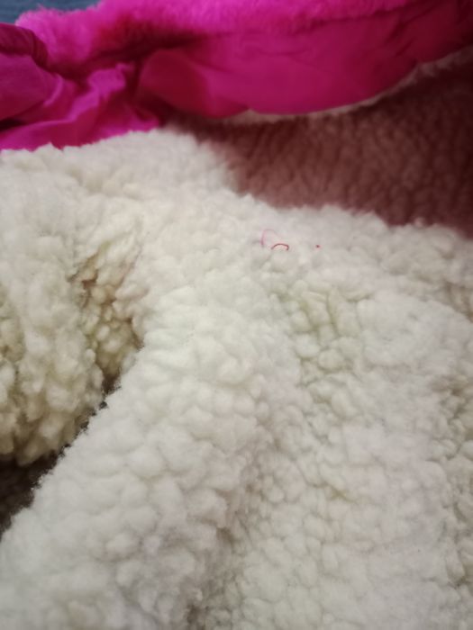 Одежда для девочки