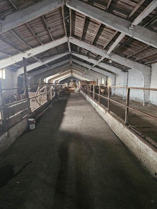 Продам животноводческую базу