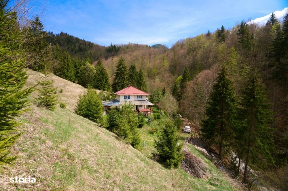 Casa Dambovicioara - CASA de vacanta sau PENSIUNE profitabila