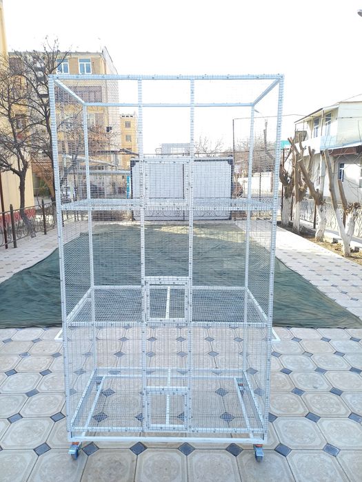 Kletka    Клетка