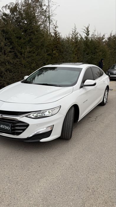 Malibu 2 2/4 sotiladi