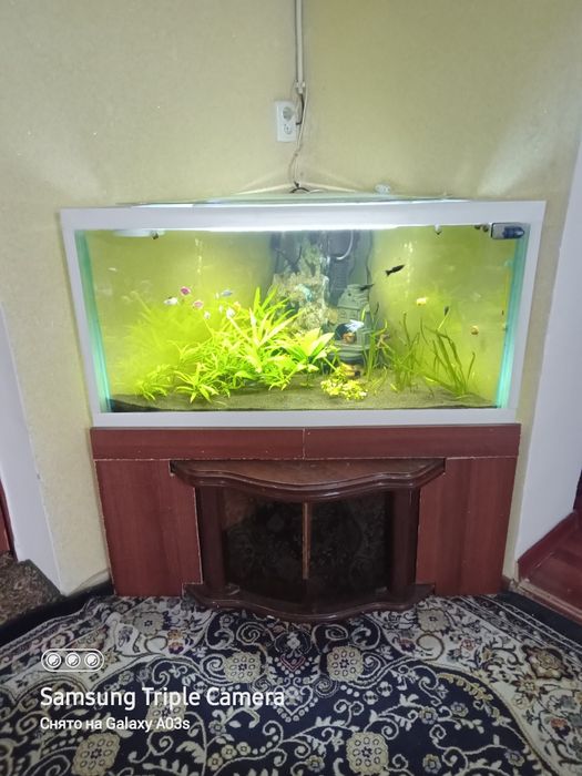 Акварюм на 300лит