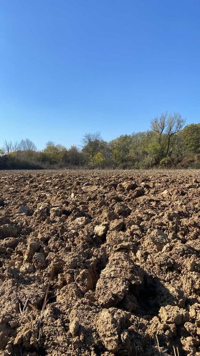 Продава се Земеделски имот в Дългопол -  кв.м за 1168 €/дка - Снимка #9