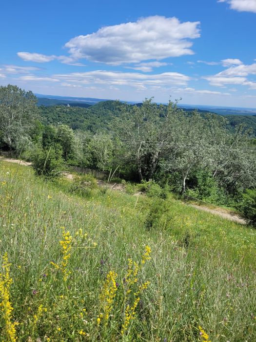 Teren intravilan de vânzare