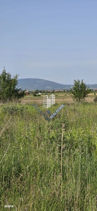 Loturi pentru construcție case