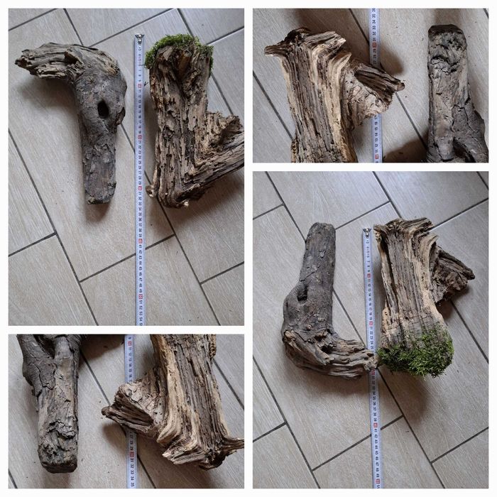коряги разные для поделок или декора