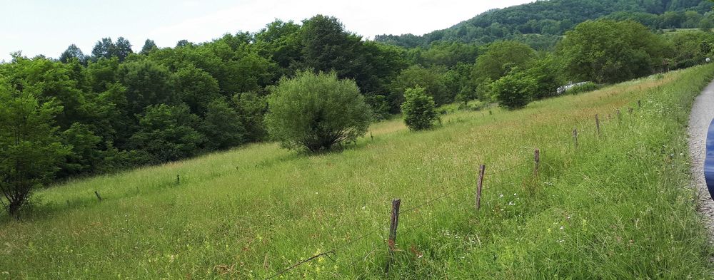 Vand teren intravilan pretabil constructie locuinta/cabana Brad-HD