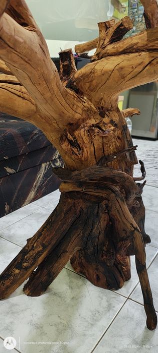 Трапезна маса от корен със два плота ПРОМОЦИЯ