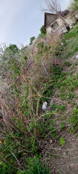 Продам дачу сад Яблонька