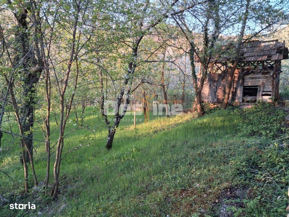 Casa batraneasca cu teren 1150 mp, vie si livada – Șerbanesti, Paus