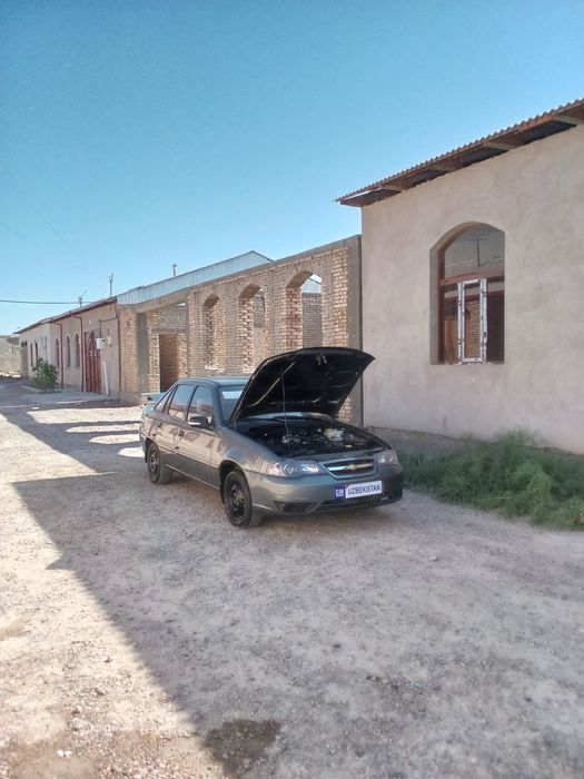 нехиа 2  гибрит йанги