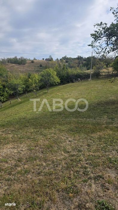 Teren de vanzare 8.300 mp Plesi Loman judetul Alba
