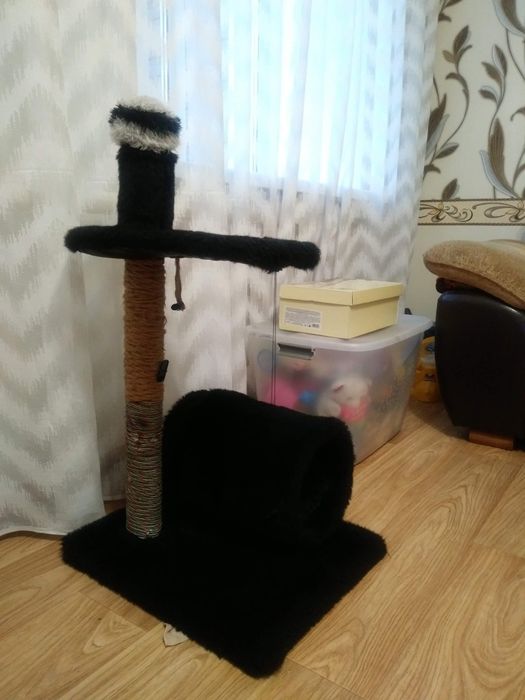 Продам дом для котенка