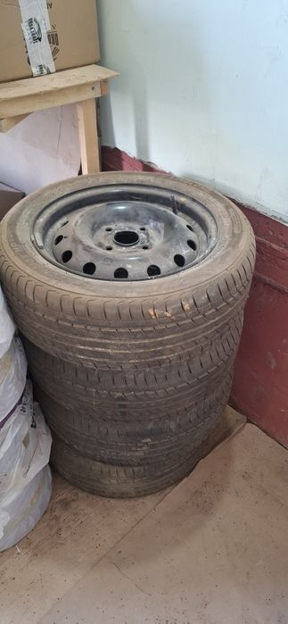 Жентра родной диски