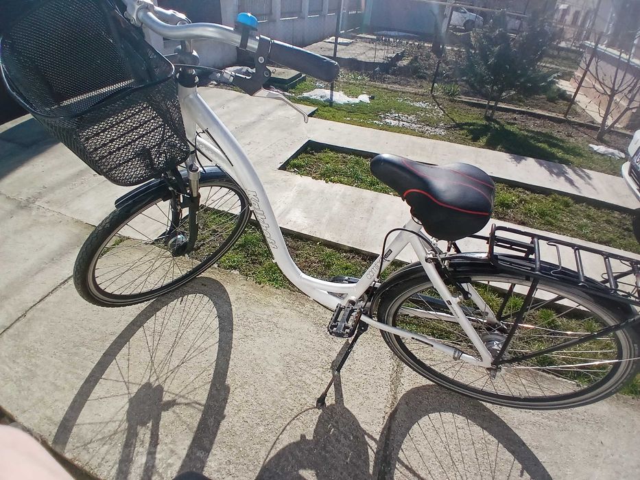 Bicicleta cu coș