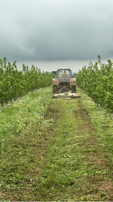 Яблоневый сад (apple garden)