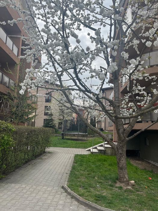P.F. Închiriez apartament cu 2 camere Manastur 380€ ușor negociabil