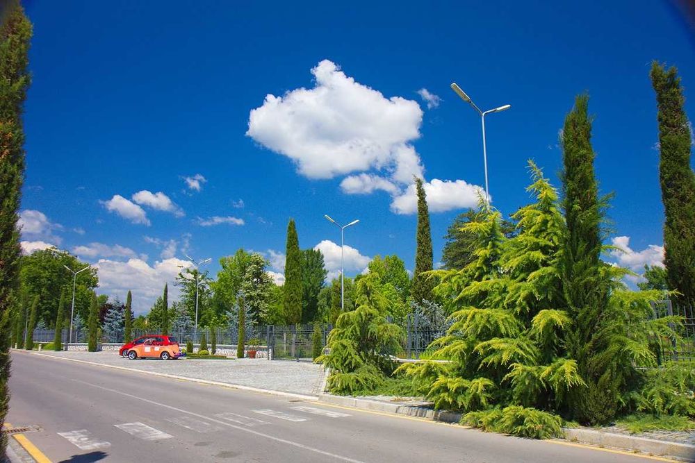 Продава се Парцел в с. Овощник, Област Стара Загора - 3000 кв.м за 100 €/кв.м - Снимка #10