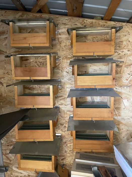 Cutii pentru familiile de albine 10 rame ,lichidare stupina