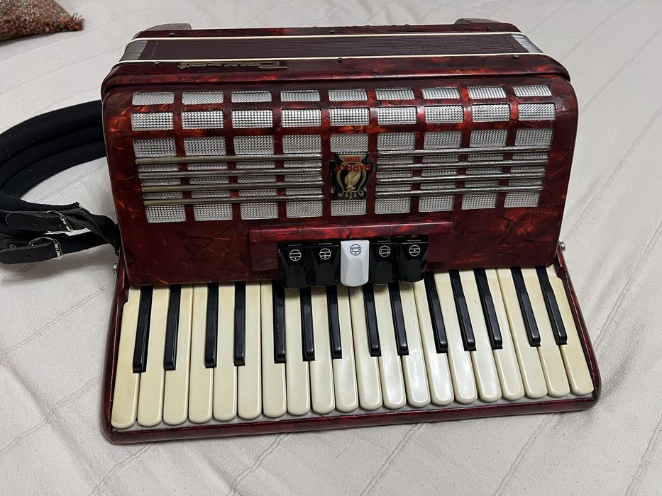 Acordeon Parrot stare impecabila