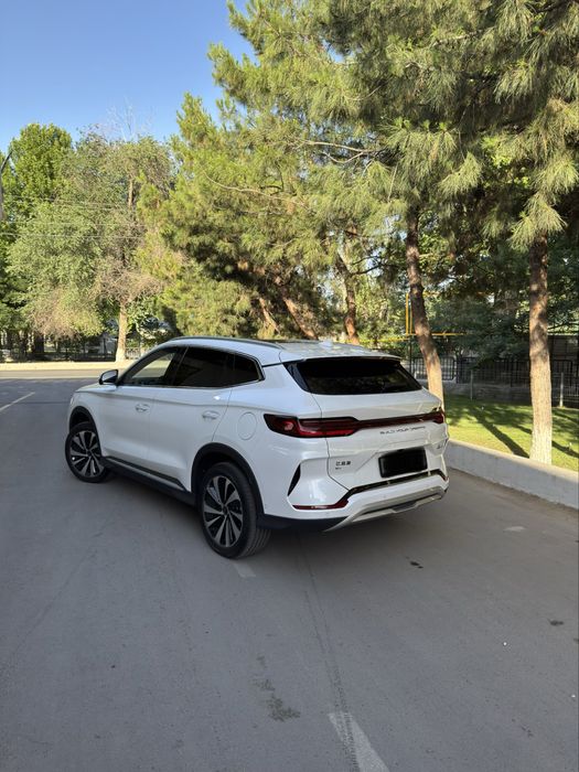 BYD champion 2023 sotiladi