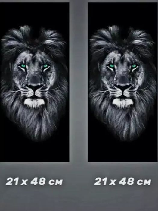 Mashanangiz stoykasi uchun sher stilidagi plyonka komplektda 2 ta bula