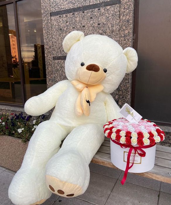 Мишки Мишка Аю Мишки Мишка