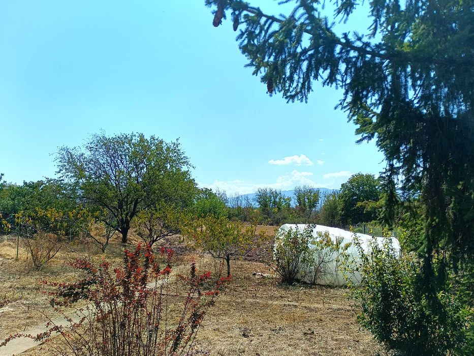 Продава се Къща в с. Избеглии, Област Пловдив - 1300 кв.м за 58 €/кв.м - Снимка #13