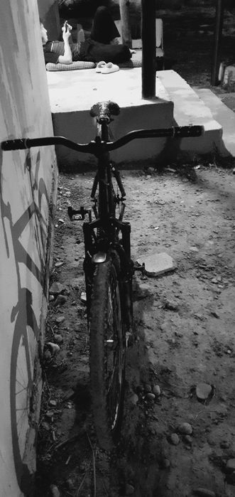 Түркістан да тұр