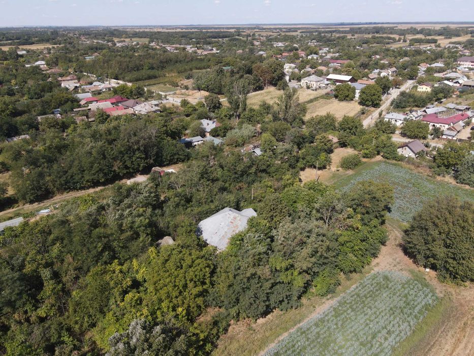 Teren Intravilan 1.78ha + Casă 122mp (Renovare) – Dobrotești, Fără Comision