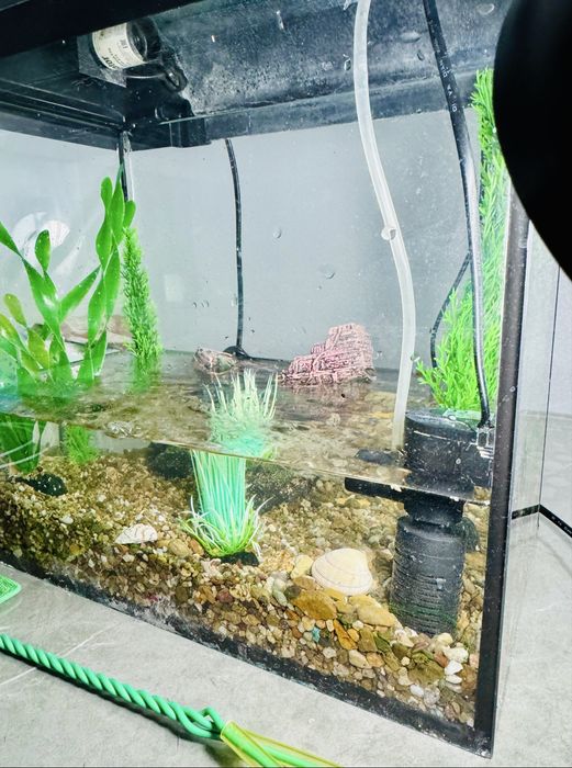 Аквариум 38х31х21 для рыб